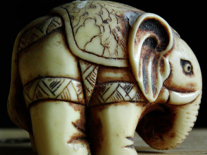 macro_elephant by Théo is licensed under CC BY 2.0